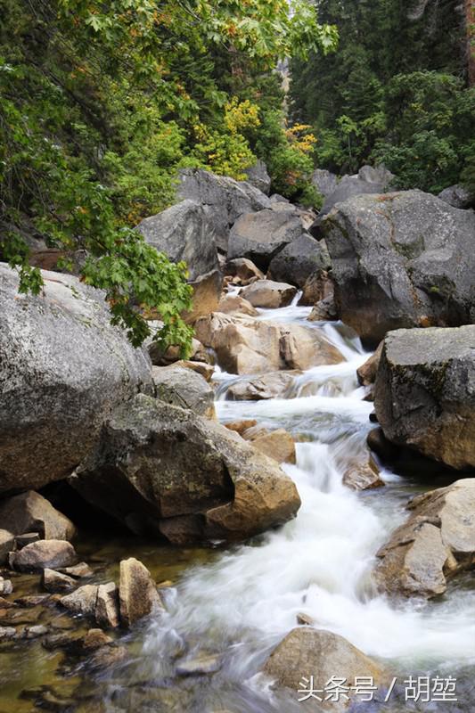 加利福尼亚美洲公园,加利福利亚国家公园