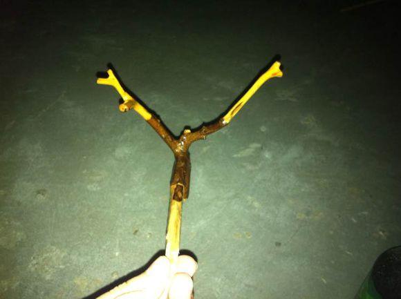 自己用竹子手工打造钓鱼竿，附上完整设计图和流程图