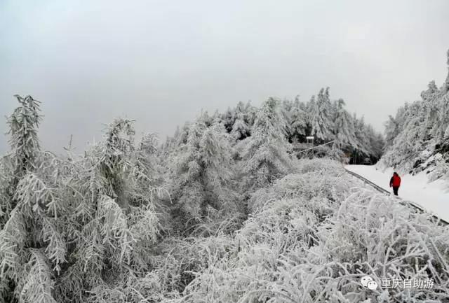 成都洗肺空气好的地方,去雾霾洗肺的地方