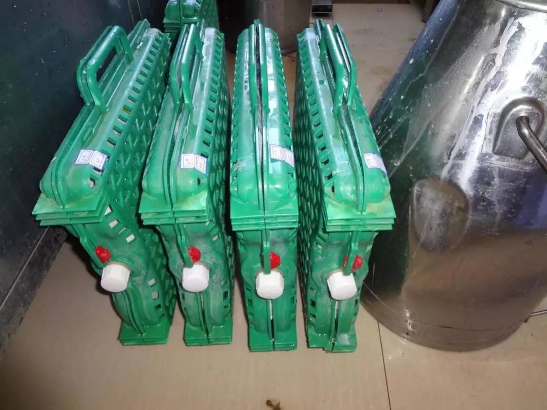 用心的犊牛管理者CRI国际兽医学博士——大卫L·布朗