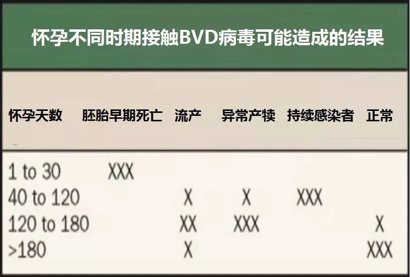 用心的犊牛管理者CRI国际兽医学博士——大卫L·布朗