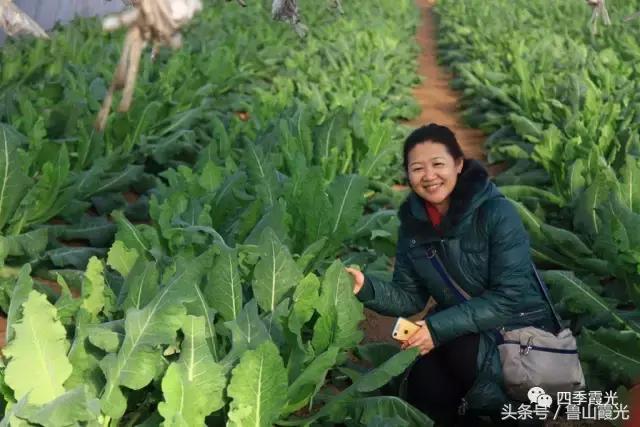 魅力龙泉,龙泉镇富硒采摘园