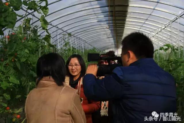 魅力龙泉,龙泉镇富硒采摘园