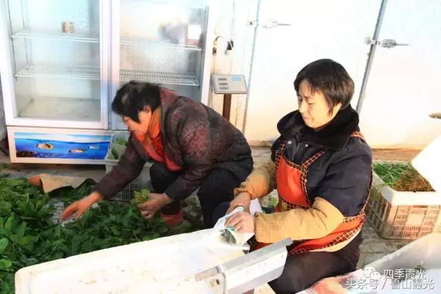 魅力龙泉,龙泉镇富硒采摘园