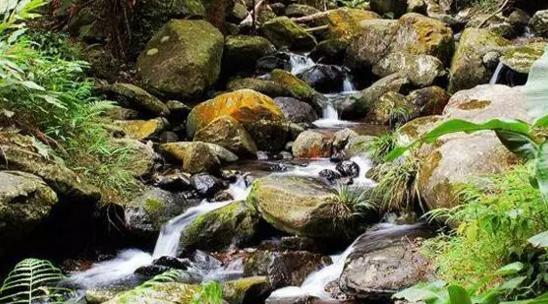 广东也能看到“九寨沟”这样的美景，还不止一个呢！