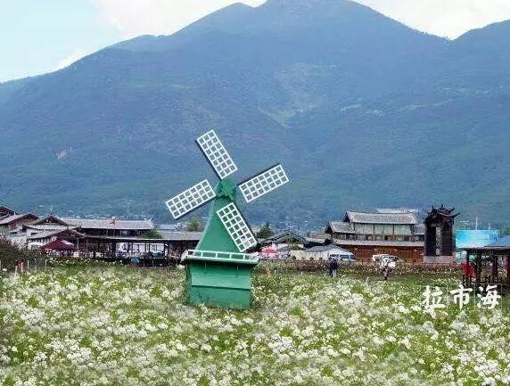 丽江美食攻略全集,丽江象山市场美食攻略