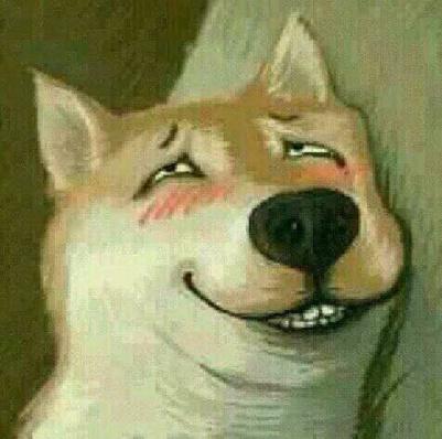 选择汪星人只看价格？真实经历告诉你为何不要贪便宜