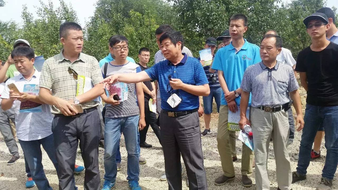 苗木那些事,山东苗木现状分析