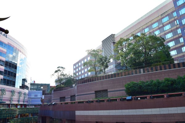 日韩邮轮游自由行,日韩航线邮轮旅游