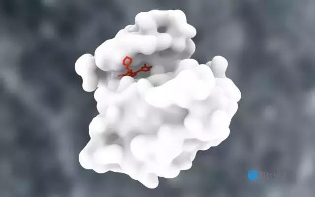 一个对中国患者极其重要的肺癌新药