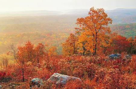 广东也能看到“九寨沟”这样的美景，还不止一个呢！