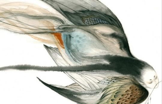 衣服露天过夜染血迹,孩子失魂,原是产妇鬼姑获鸟摄魂寻子