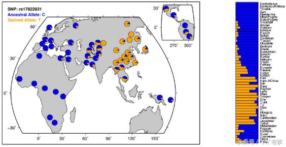 科普一个鲜为人知的事实：有狐臭是正常的没狐臭才是....