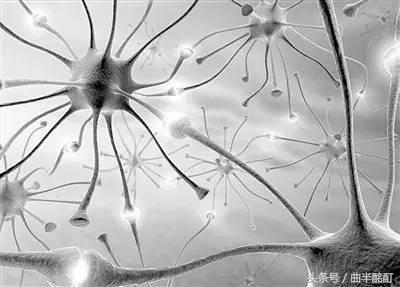 科普为什么打哈欠会传染,为什么打哈欠会传染英语ppt