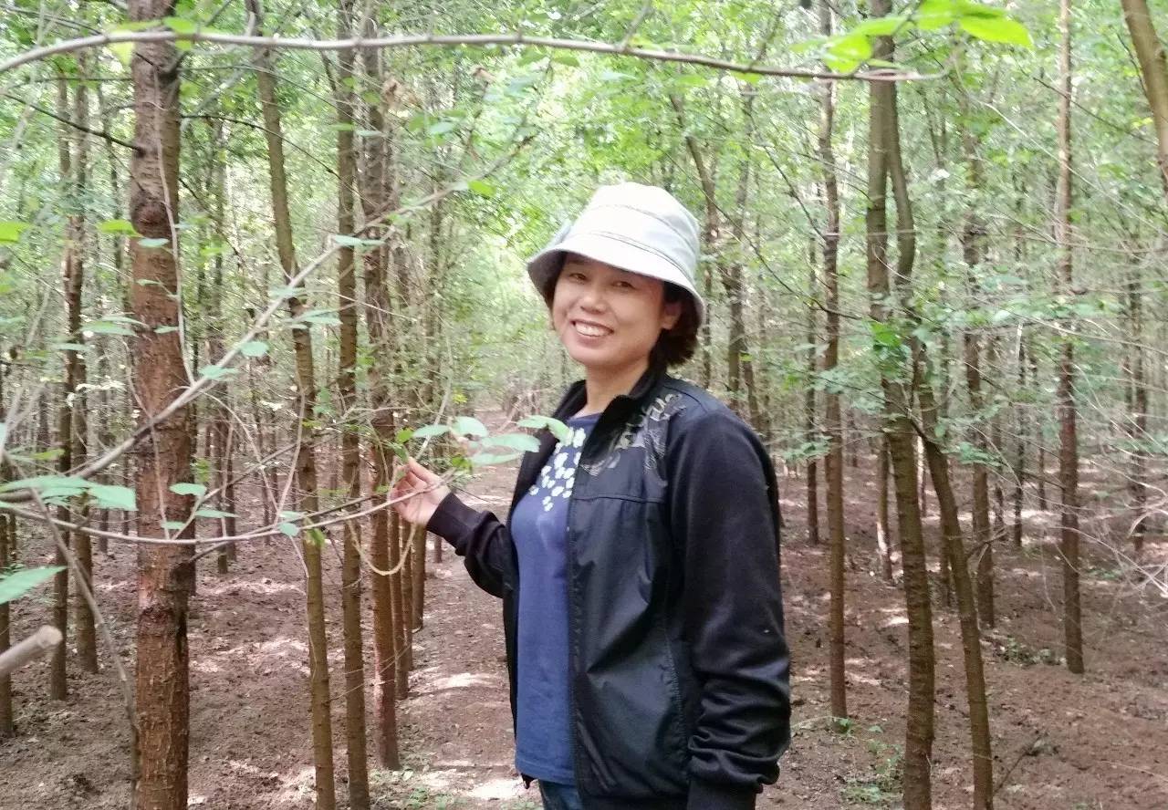 苗木那些事,山东苗木现状分析