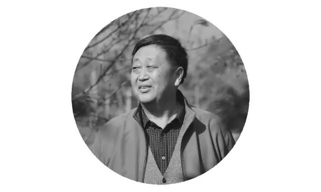 苗木那些事,山东苗木现状分析