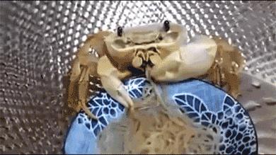 这家长沙米粉店，连舌尖导演都为它沉迷