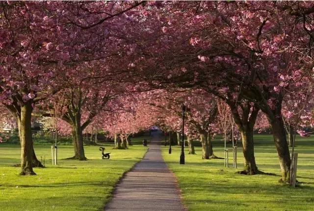 浜氭床寤変环鑸┖瀹樼綉,鎮﹁娉板浗鏃呰