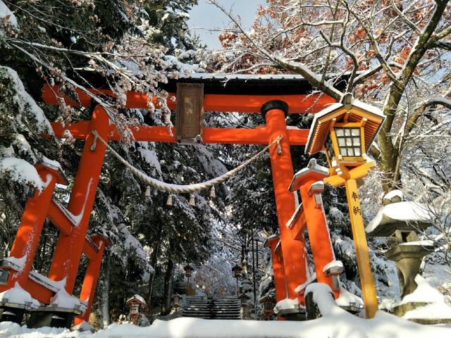 oppor9s特殊版 (oppor9s贺岁版)