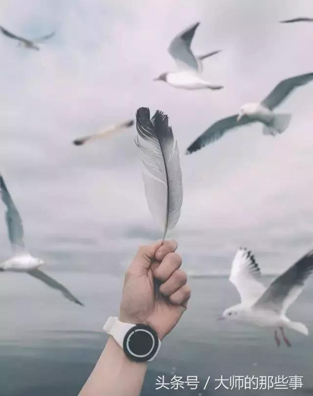 rolex手表最新款,rolex十大必买手表