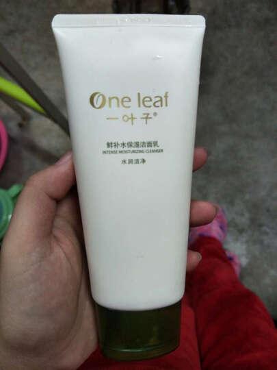 朴芝兰洗面奶有美白效果吗,朴芝兰洗面奶怎么样