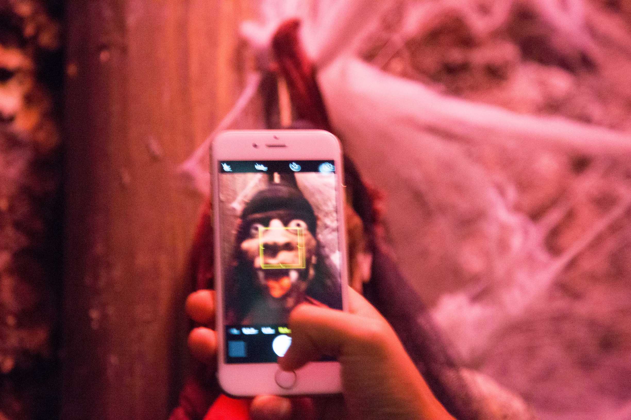 海南三亚千古情完整版,海南三亚千古情旅游视频