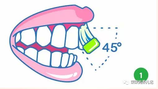 盘点李*荣大**的牙刷军团!其实吧,牙刷并不是重点,怎么刷才是!