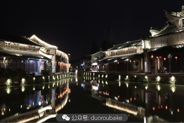 回忆之旅最适合带的植物,野外旅游必须记住的植物