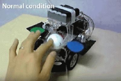 天蛾飞行能力,天蛾产卵之后可以飞吗