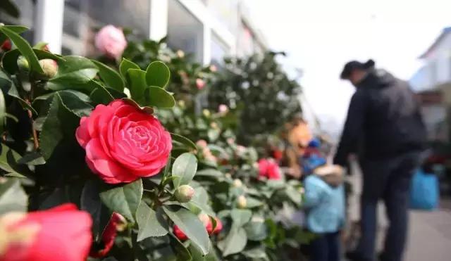 南通各大批发市场,南通批发市场都有哪些商品