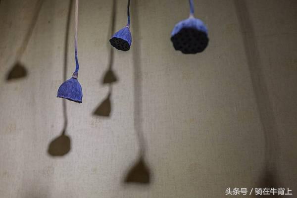 乾隆六下江南去的是哪些地方,徐志摩家乡旅游攻略