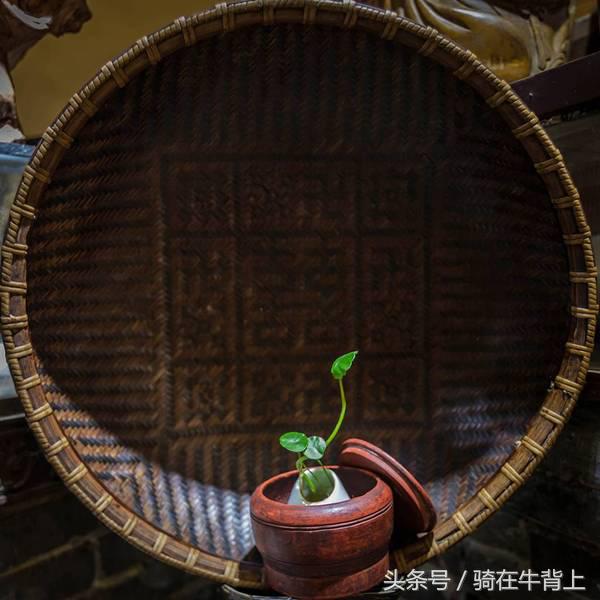 乾隆六下江南去的是哪些地方,徐志摩家乡旅游攻略