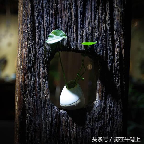 乾隆六下江南去的是哪些地方,徐志摩家乡旅游攻略