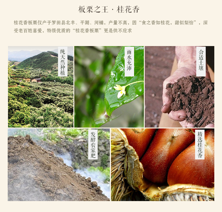 缃楃敯鏉挎牀椋庢櫙瑙嗛,缃楃敯鏉挎牀鍗抽鏉挎牀