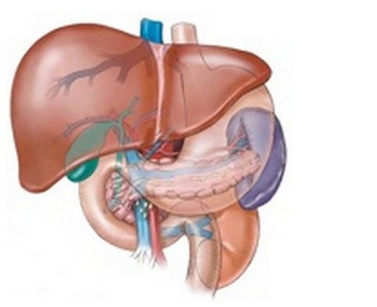 这就是肝脏结石！看完是不是觉得挺恐怖的？