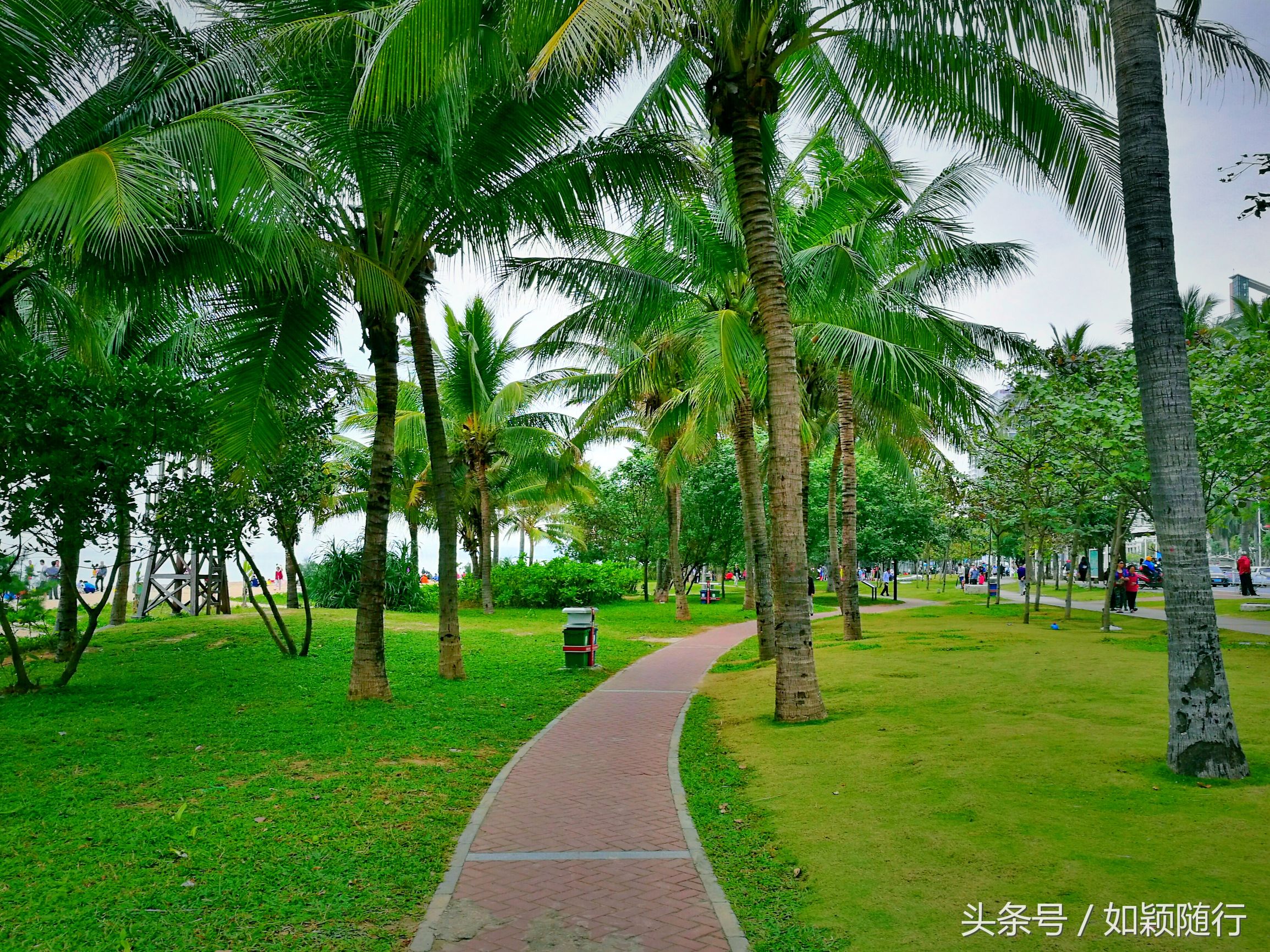 三亚地标美丽凤凰岛,三亚的凤凰岛与海花岛