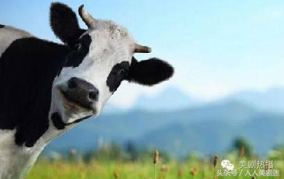 刺激？恐惧？流行？我们为什么对行尸走肉情有独钟！