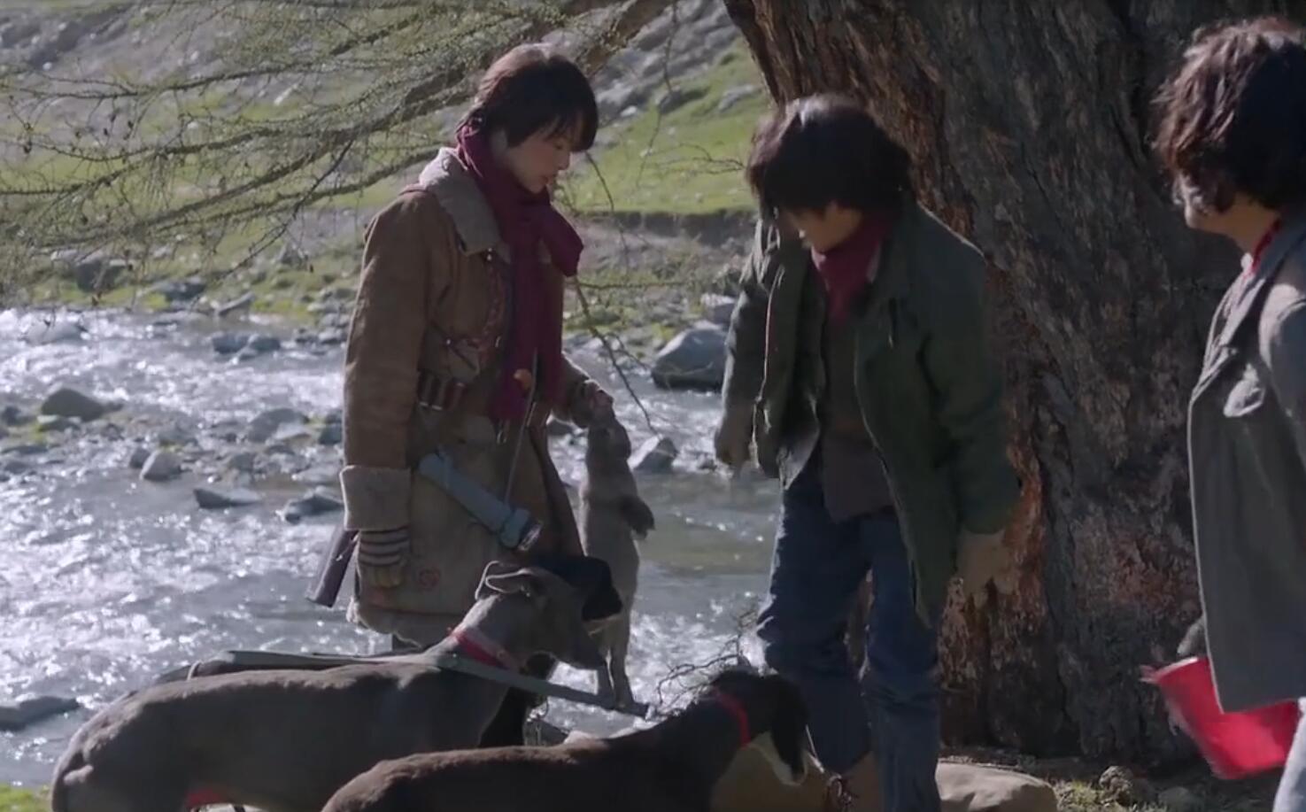 被刷屏的鬼吹灯里长腿狗狗,是濒临灭绝传说中的啸天犬?