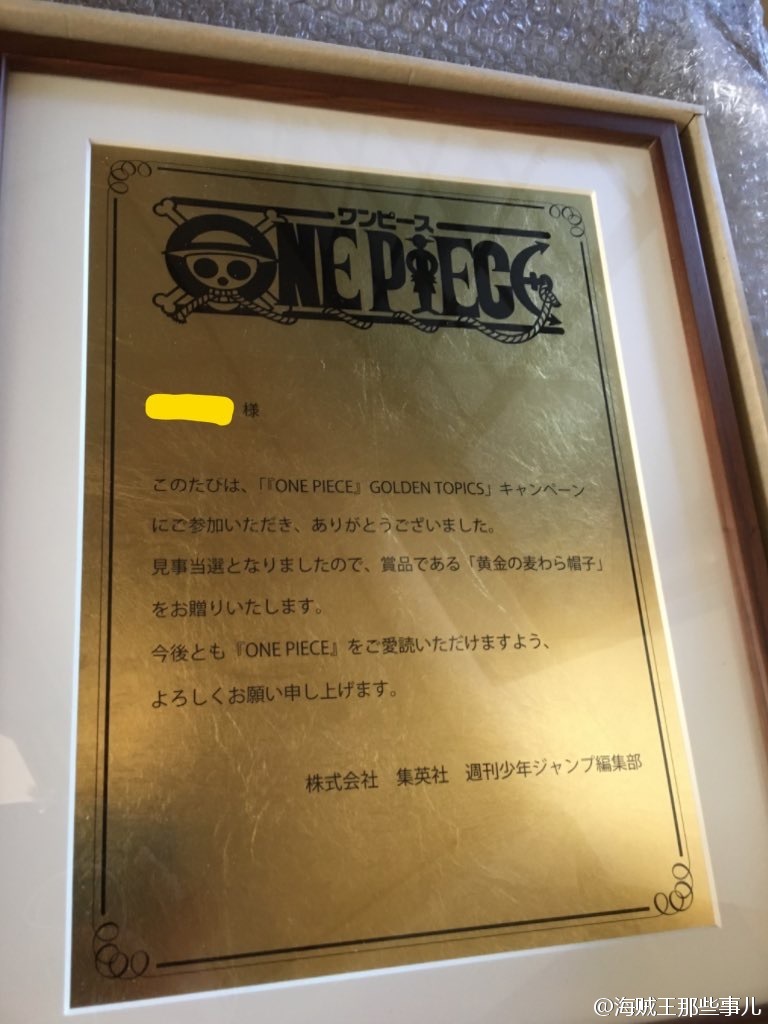 海贼王帆布袋草帽团,海贼王金银帽子