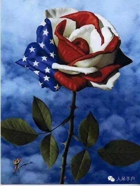 涓浗鍥借姳澶ц祻鍥剧墖,鍥借姳澶ц祻浜氭床鍥剧墖