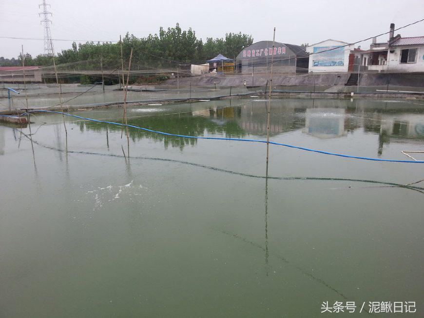 娉ラ硡鍏绘畺鏁堢泭,澶ф娉ラ硡鍏绘畺鏁堢泭