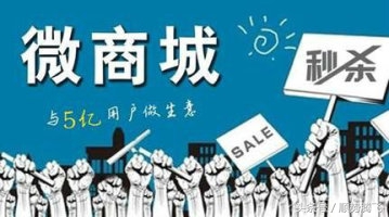 微店与微商城有啥区别,微店和微商城有什么区别哪个更好