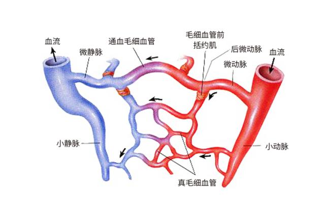 种完“草莓”不想虐狗?3min去除吻痕技能get√