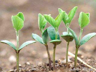 两本书教你如何开始赚钱,关于好的创业白手起家的书