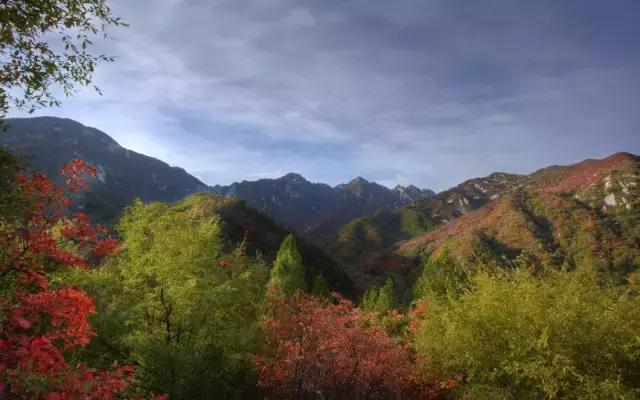 2021年洛阳旅游攻略指南,洛阳旅游攻略2015