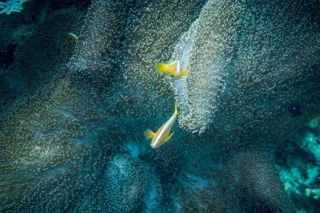 大家以前是不是都拍过这样的照片,每个人都见过的照片