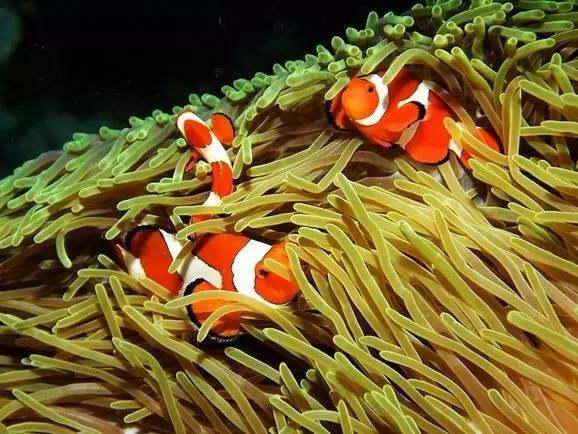 大家以前是不是都拍过这样的照片,每个人都见过的照片