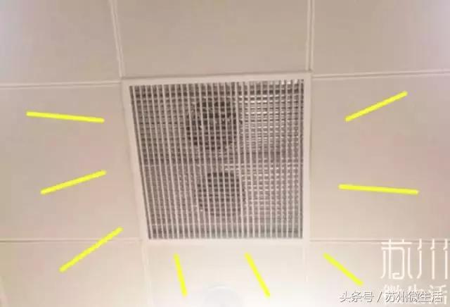 苏州的好看的东西,苏州vs纽约