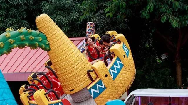 长隆攻略水上乐园和大马戏,广州长隆动物世界旅游攻略