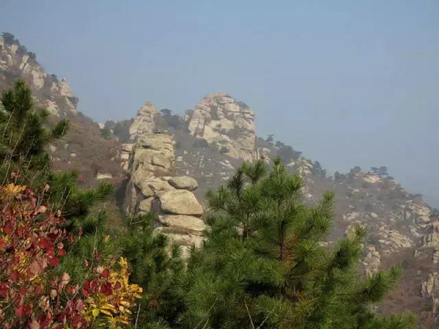 我叫义县,这是我的简历!